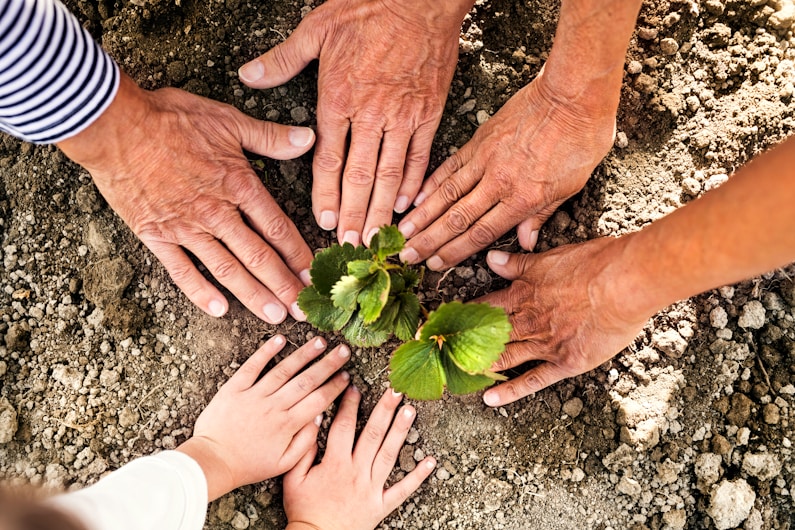 Appui aux initiatives locales de développement communautaire
